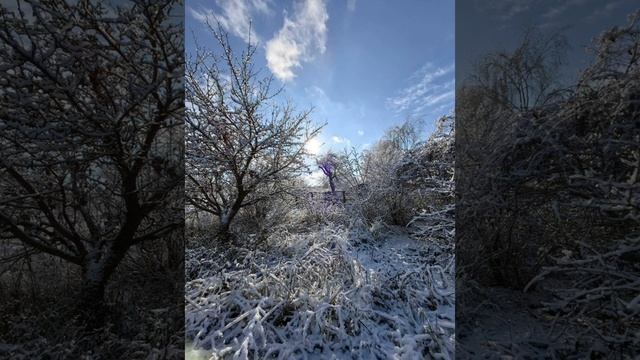 Зимняя ❄️ сказка!!!