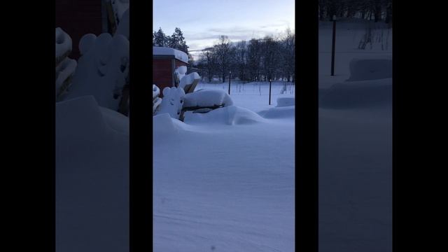 Clips25-01-12_10-07
