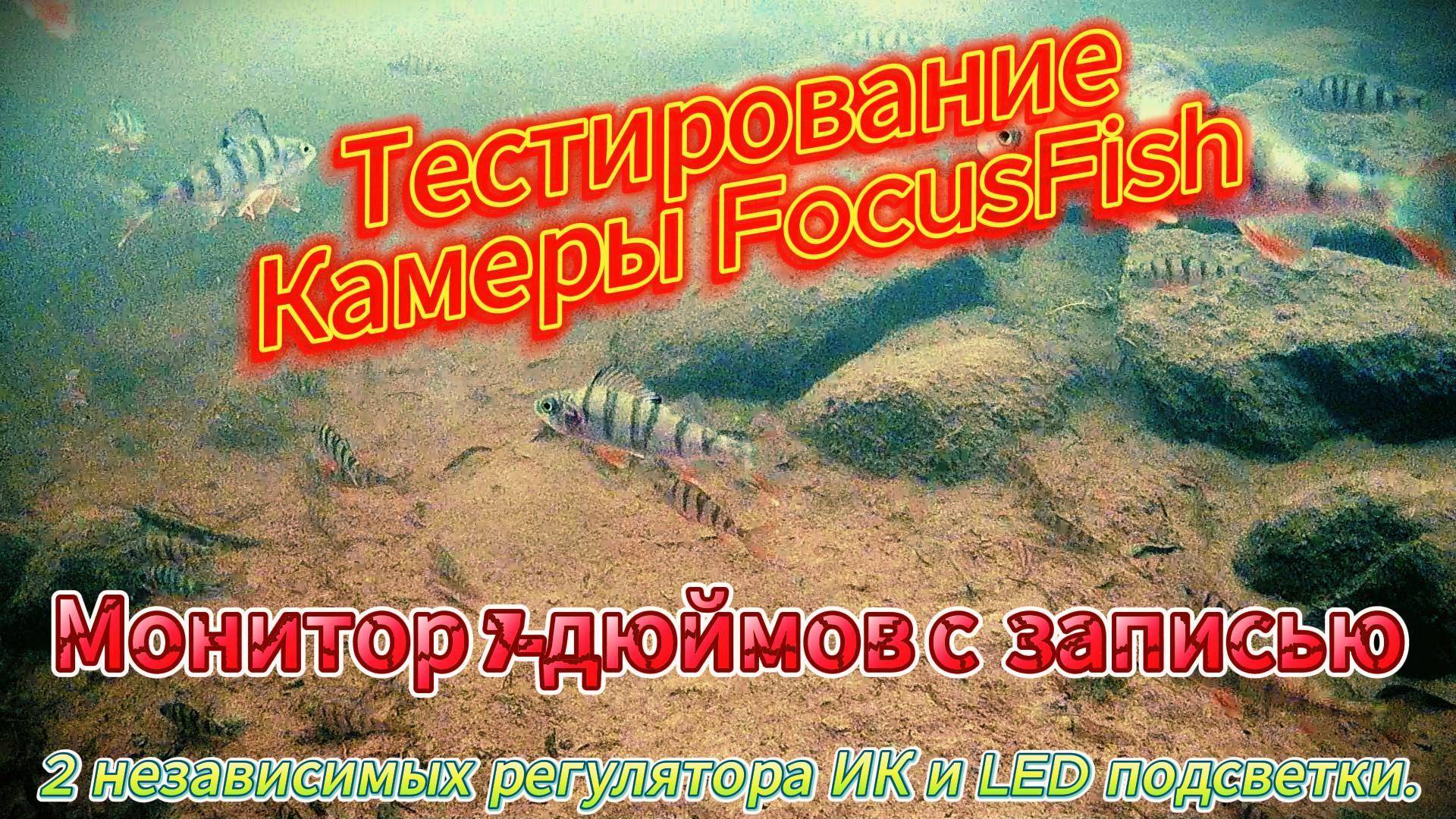 НАШЁЛ СТАЮ ОКУНЕЙ КАМЕРОЙ FOKUSFISH СНЯЛ КАК РЕАГИРУЕТ РЫБКА НА ПРИМАНКИ ЭТО БЫЛ ПЕРВЫЙ ТЕСТ КАМЕРЫ