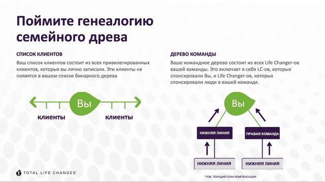 Total Life Changes Как провести новичку первую презентацию TLC