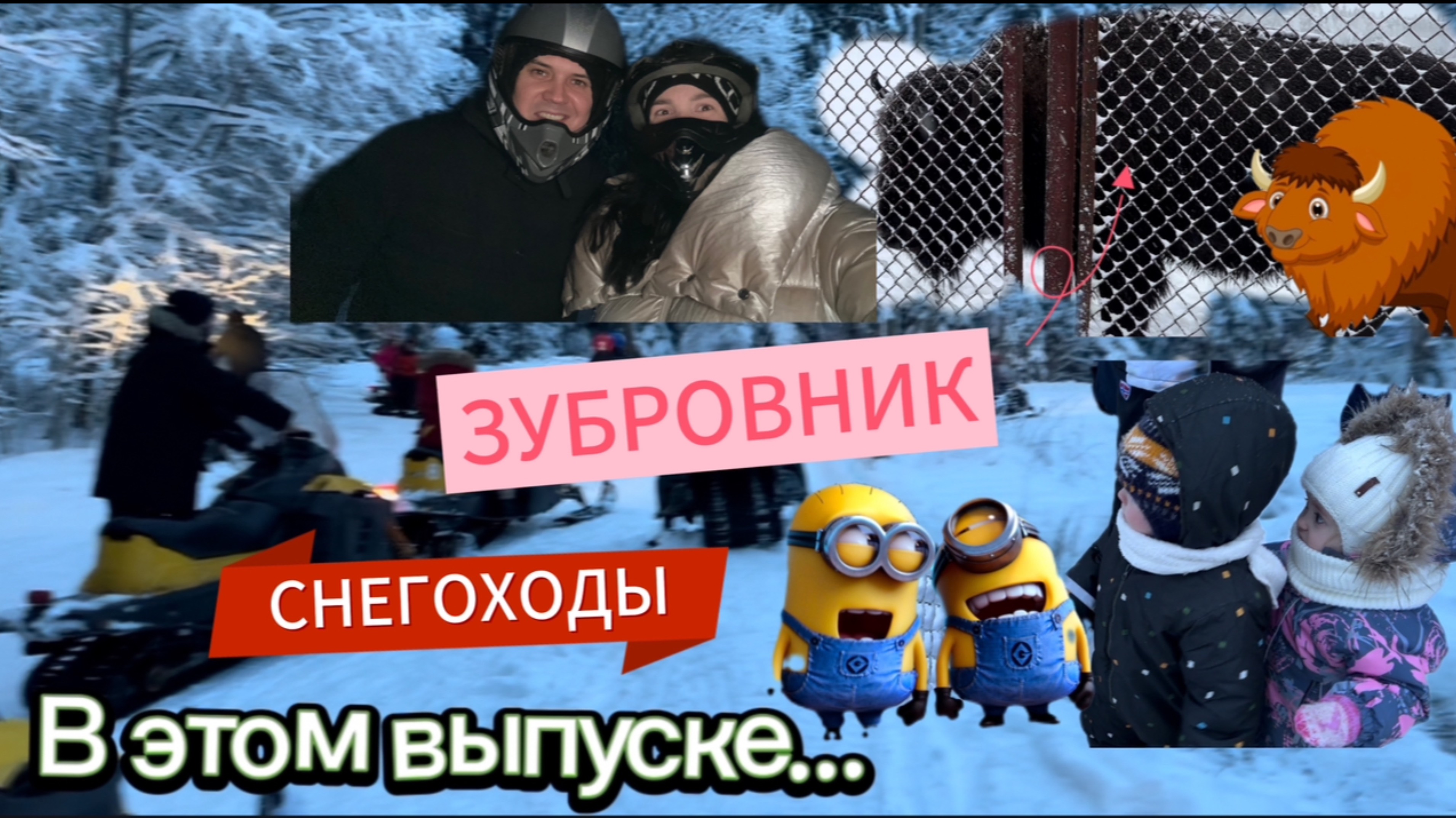 РОДИТЕЛИ В ДЕКРЕТЕ | СНЕГОХОДЫ | ЗУБРОВНИК