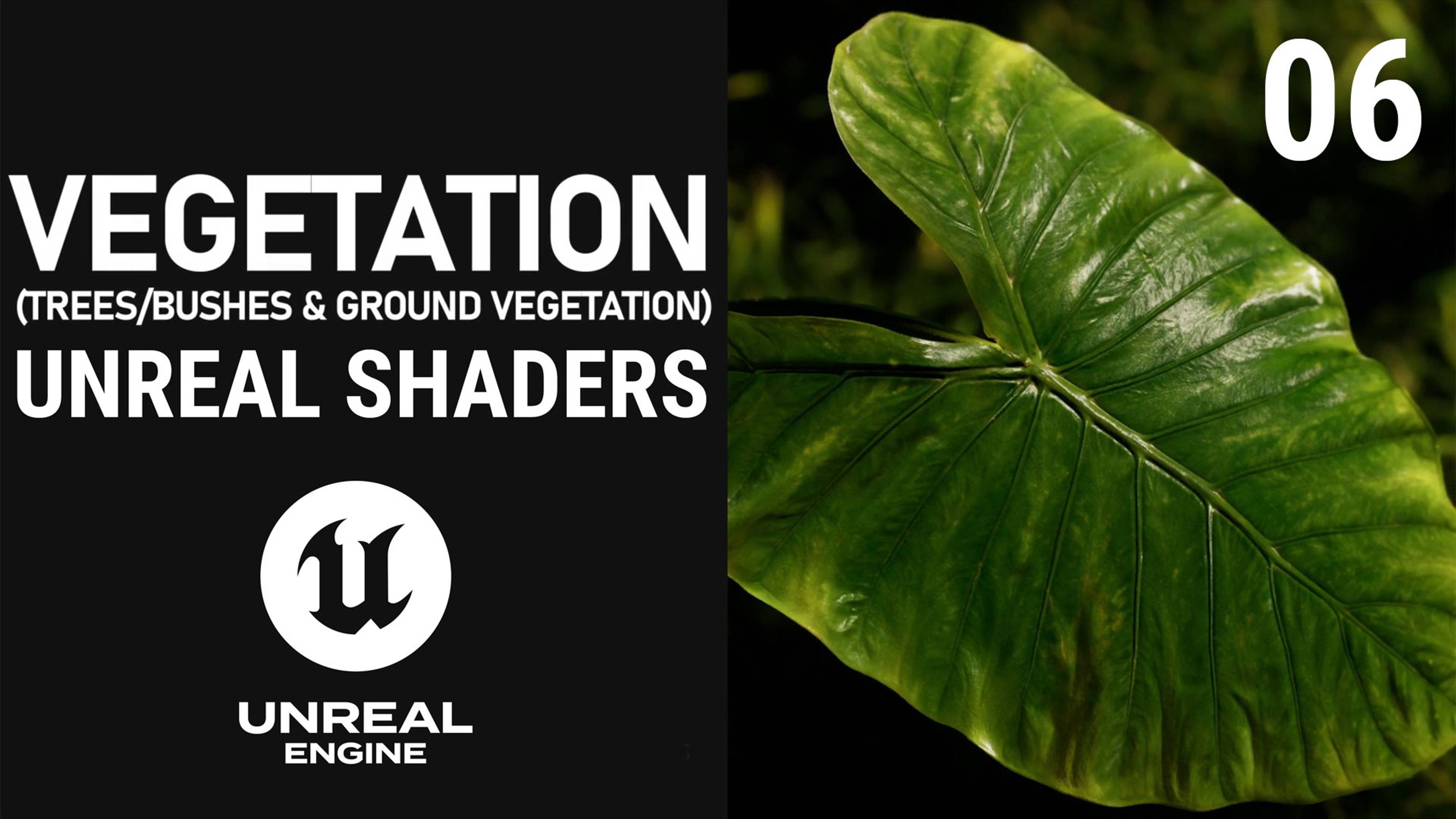 Unreal Engine - Vegetation Shader (Trunk & Foliage & Wind)
06.US Veget Roughness