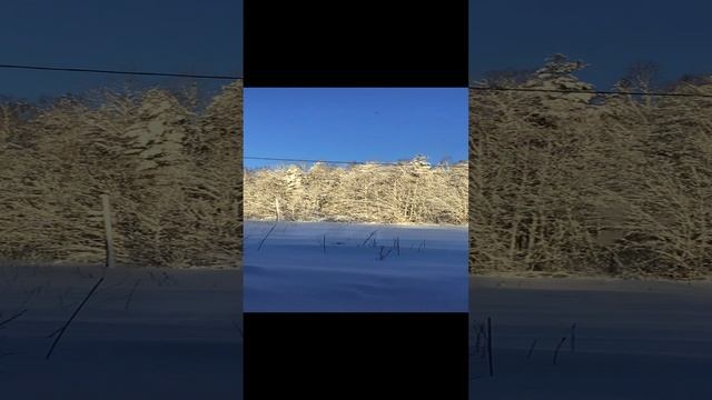 IMG_7960