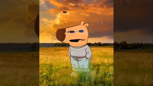 Чил Денис