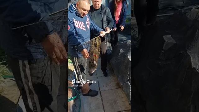 Подписчик приехал на рыбалку