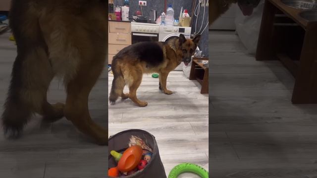 Вечер вечерок 😍