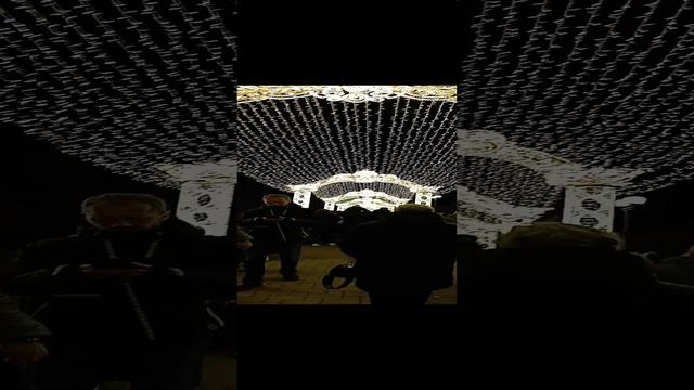 1000342668.mp4