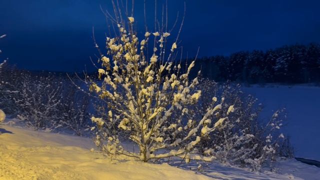 Гимн Зеленогорска (зимняя версия)