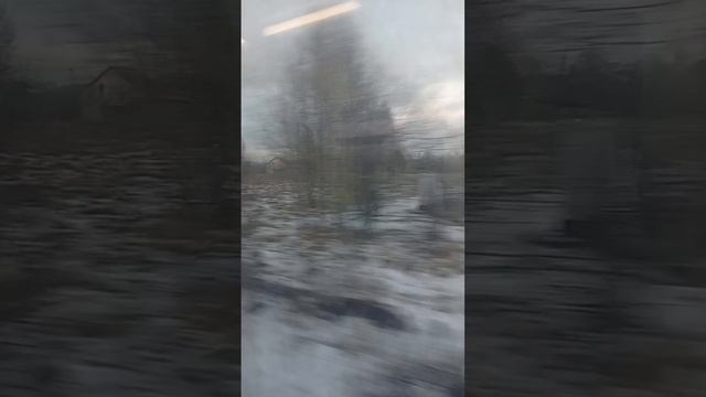 scene_output.mp4