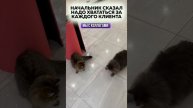 Надо хвататься
