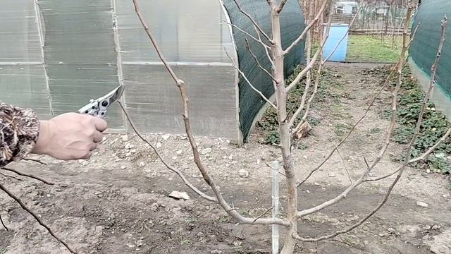 Лепота!Кому на юге жить хорошо.Домой не загонишь.