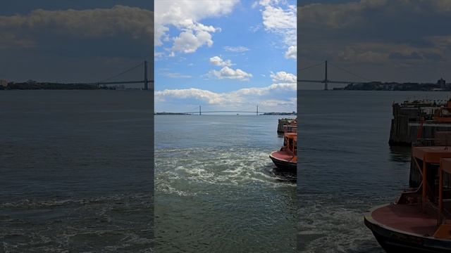 12456628_2160_3840_60fps