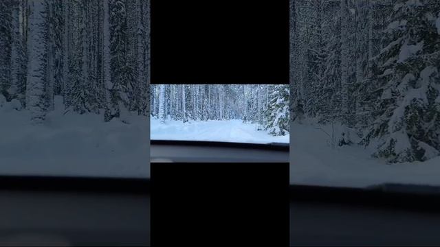 Зимняя сказка в Ленобласти
