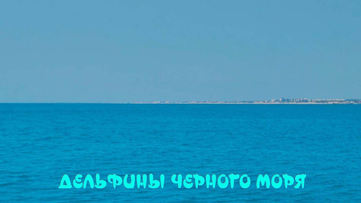 Анапа. Море. Дельфины