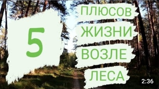 5 ПЛЮСОВ ЖИЗНИ ВОЗЛЕ ЛЕСА🌲