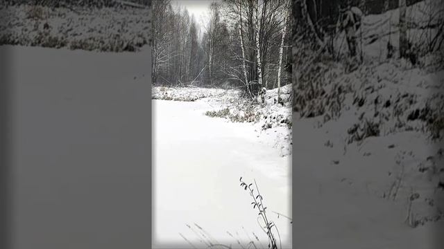 Деревня в снежном плену | Natures Quiet Retreat