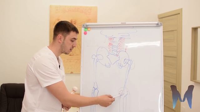 Разная_длина_ног_Перекос_таза_2_разных_проблемы_одной_цепи_
