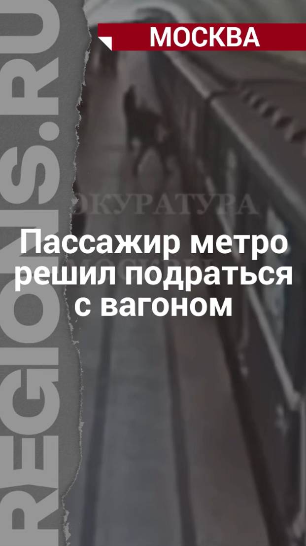Пассажир метро решил подраться с вагоном
