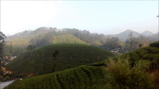 NO VISIT TO SRI LANKA IS COMPLETE WITHOUT A FULL TEA TASTING !