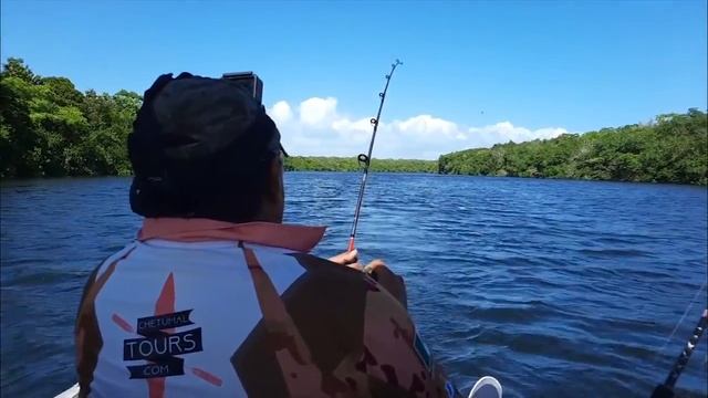 Un Baby Tarpon, No Tan Baby en el Río Hondo #74