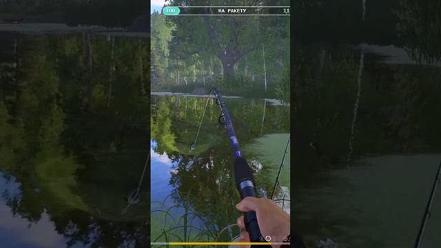 ТРОФЕЙНЫЙ СЕРЕБРЯНЫЙ КАРАСЬ НА ОСТРОГЕ #русскаярыбалка4