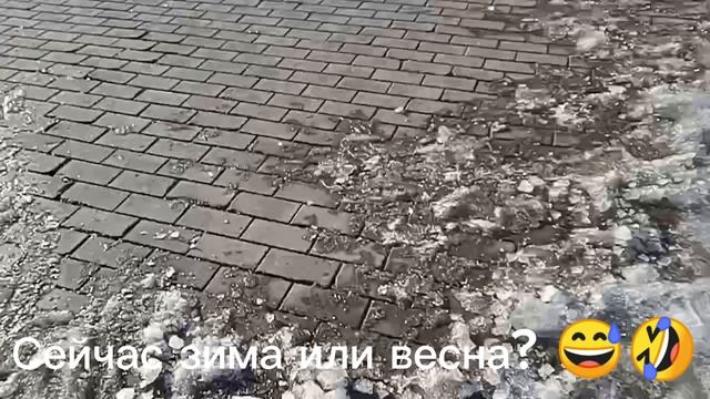 Сейчас зима или весна?😅