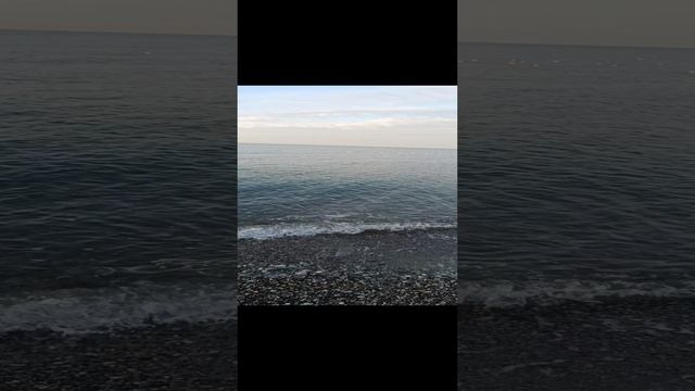 12.01.2025 Лазаревское