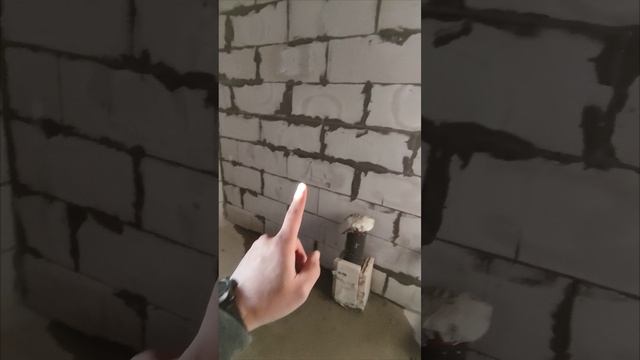 Рыбицы. Моштабы бедствия) заходим