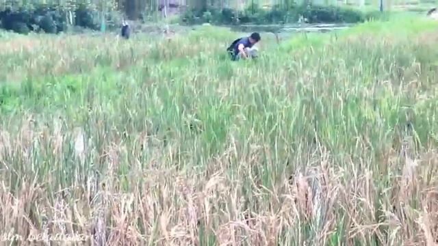 GANAS NYA UREK SIMADU YG DI JOKI KG BUS TEA SAAT NGUBAR AKBAR‼️Sepot Binong Jadi Saksi,