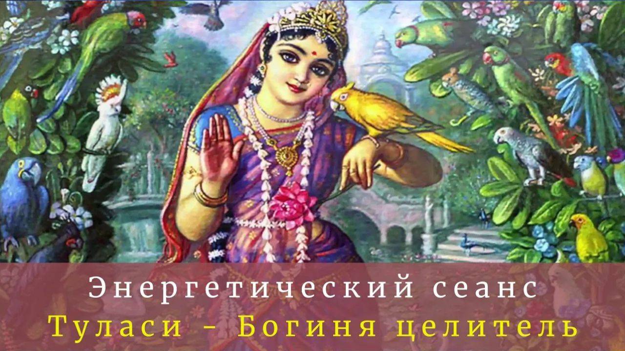 Энергетический сеанс - Туласи - Богиня целитель . Надежда Ражаловская.