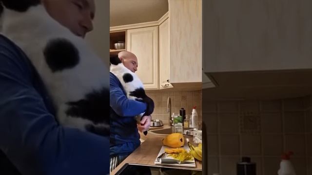 Вот такая любовь!