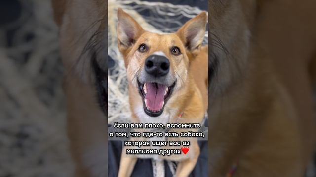 Золотая девочка Злата ищет своего человека😍
