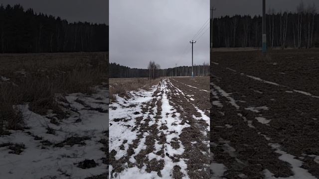 Буся Буран ко мне