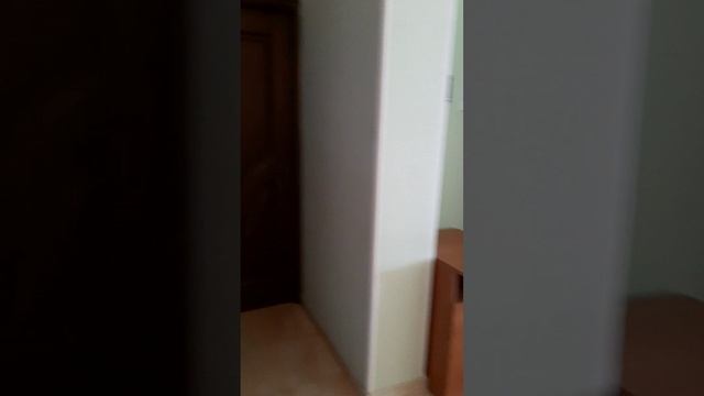 1000068393.mp4