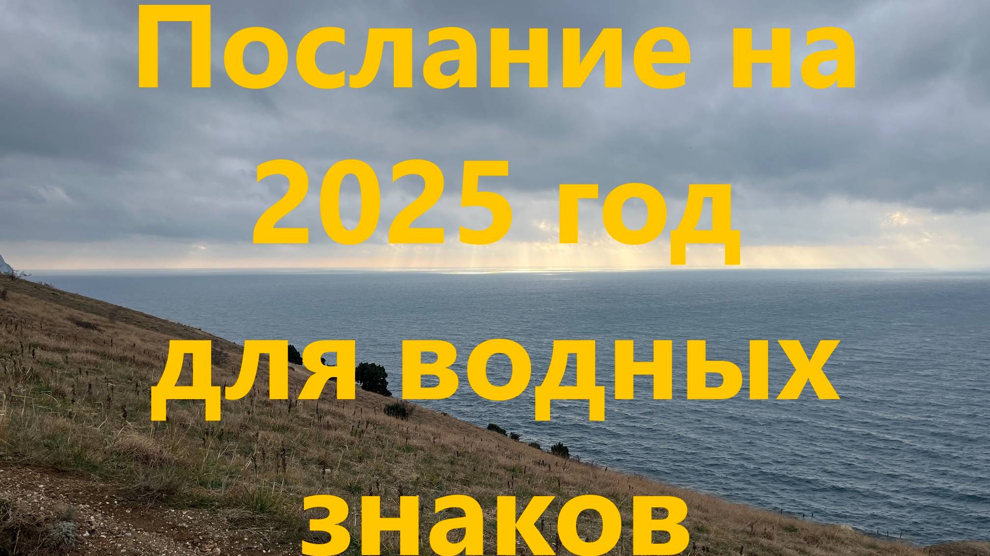 Расклад на 2025 год для водных знаков ( скорпион, рак, рыбы )