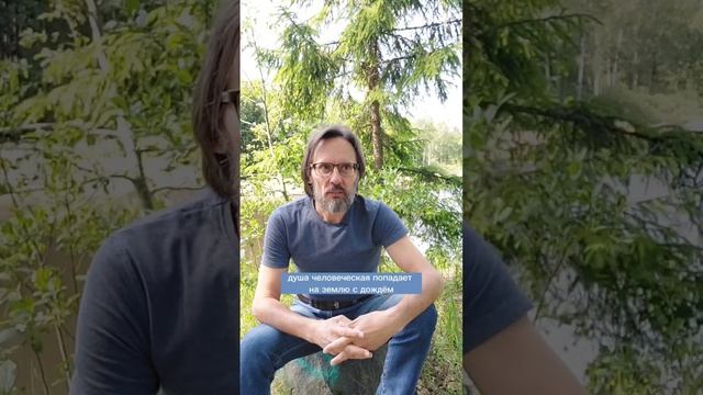 Когда начинается жизнь? #дети #педиатр #жизнь #детскоездоровье #здоровье #shorts