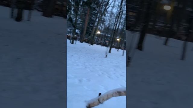 🎉♥️🎊04-01-25 Дом творчества писателей в Переделкино в Москве!Атмосфера Новогодних праздников🎄🥰🫶