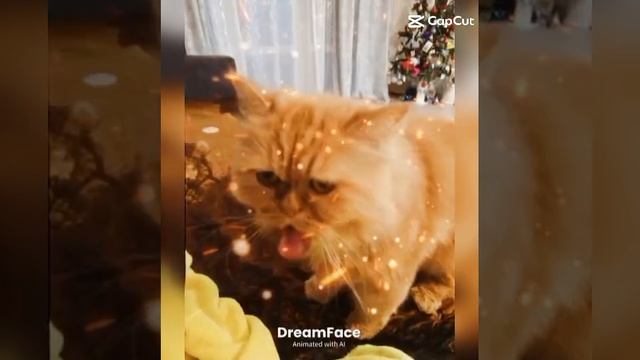 Cама делала