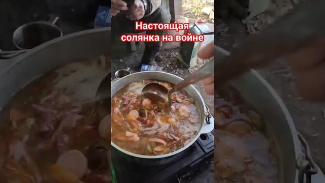 Мобилизованные готовят солянку на войне. Как приготовить солянку. Мы из Краснодара