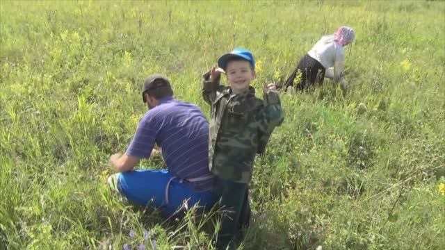 Один день лета в алтайской деревне. Собирали ягоду, работали как незаметно вечер пришёл с луной🌞🌛