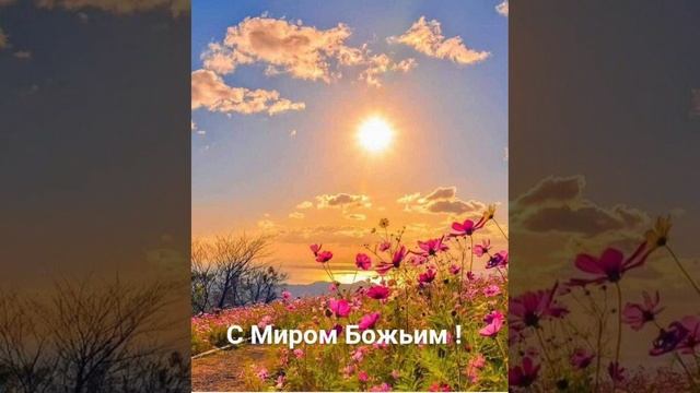 Я угощу вас чаем из мечты...