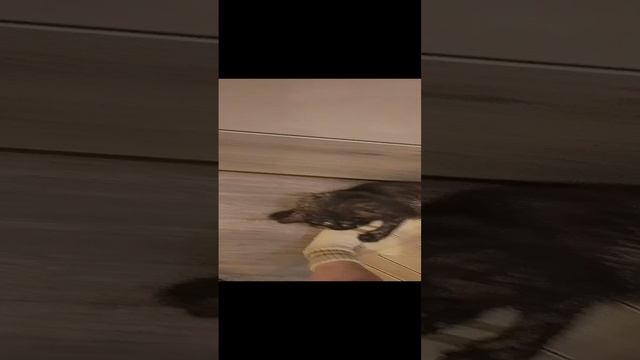 12-01-2025