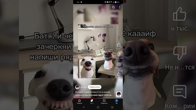 Чем различаются мама и батя