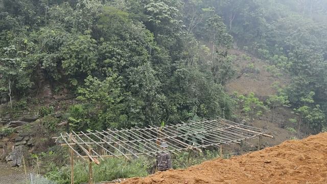 Tam Lan builds a new farm Ep.2 | Use bamboo to make trellises, plant chayote, luffa and squash