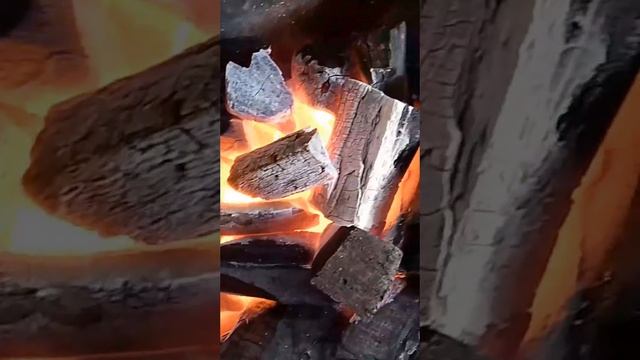 WOOD CHARCOAL FROM IVORY COAST