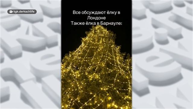 День с Толком 11.01.2025 Итоги