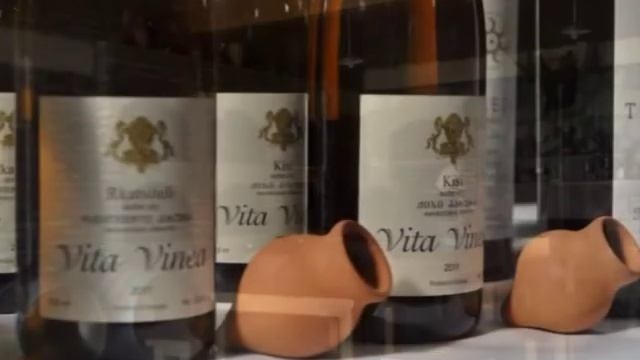 vita vinea