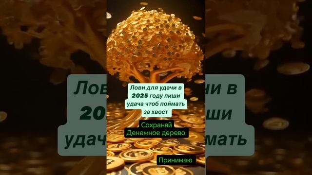 Денежное дерево
