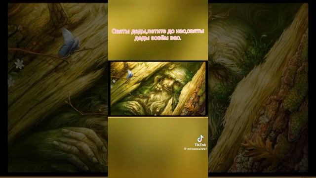 РОД : Святки