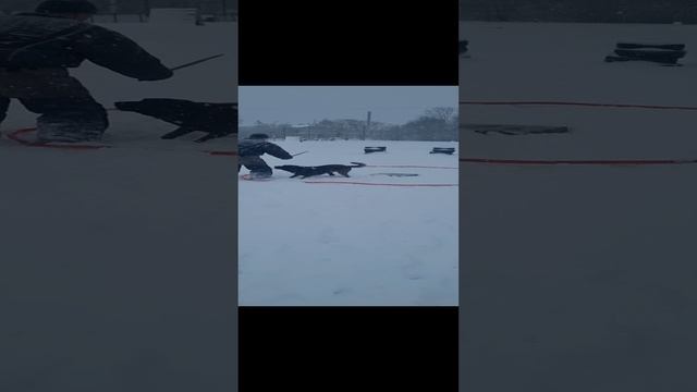 Защита вещи